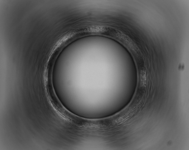 X0000100870726200806201240