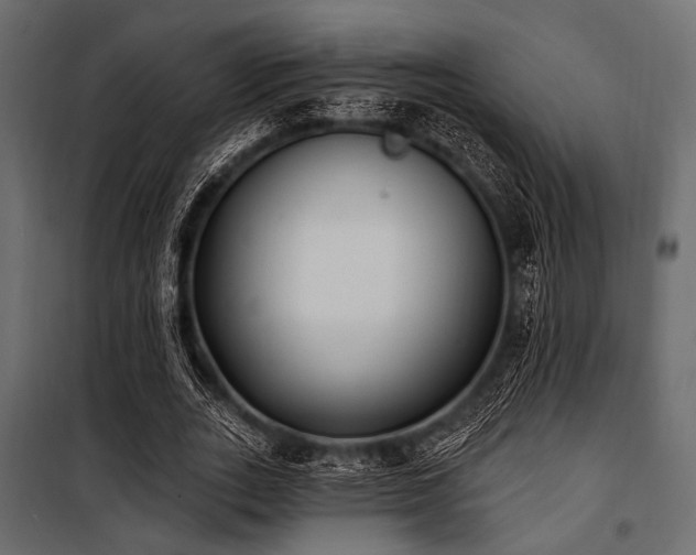 X0000100870727200806201240