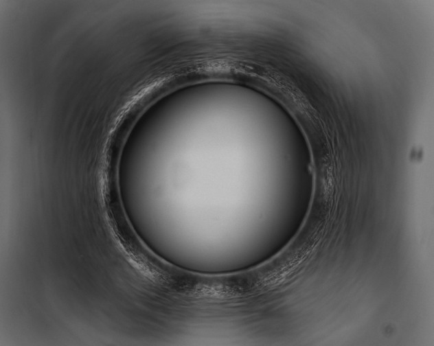 X0000100870728200806201240