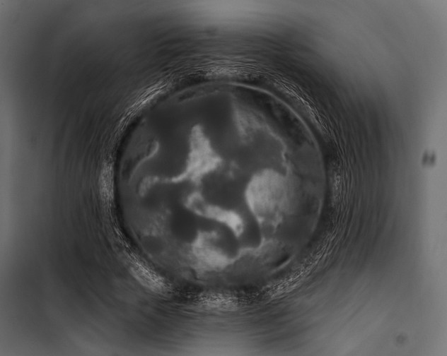 X0000100870729200806201240