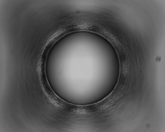 X0000100870730200806201240