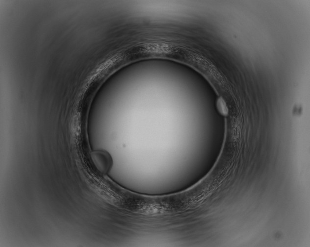 X0000100870731200806201240