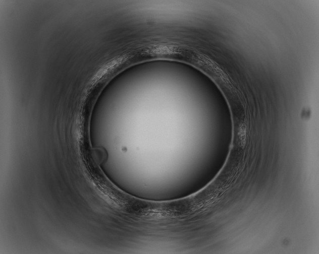 X0000100870732200806201240