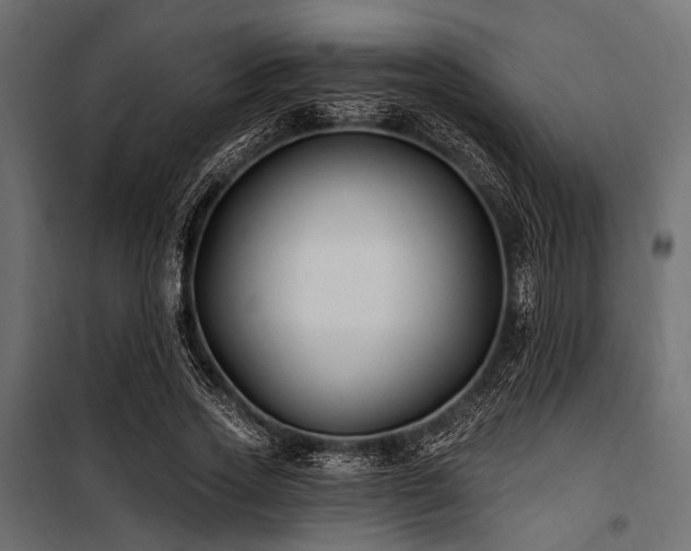 X0000100870733200806201240