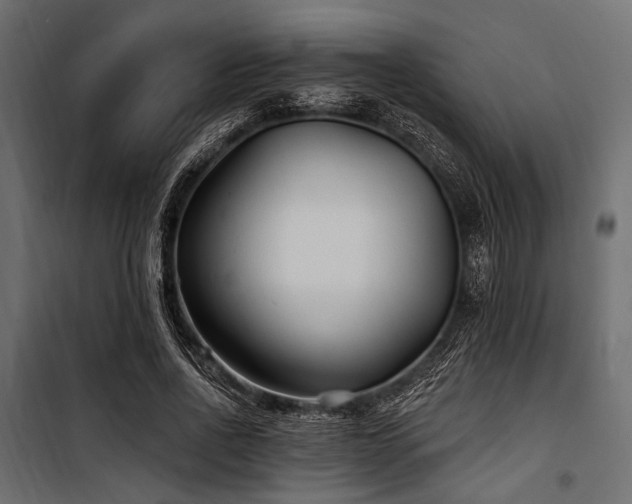 X0000100870734200806201240