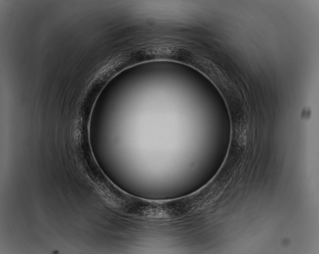 X0000100870735200806201240