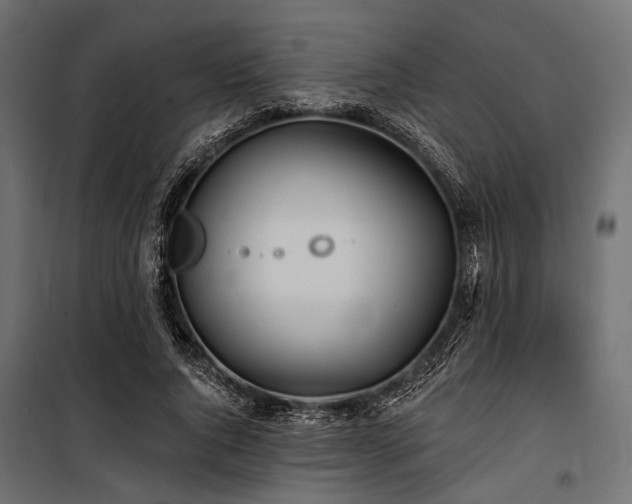 X0000100870736200806201240