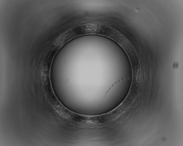 X0000100870737200806201240