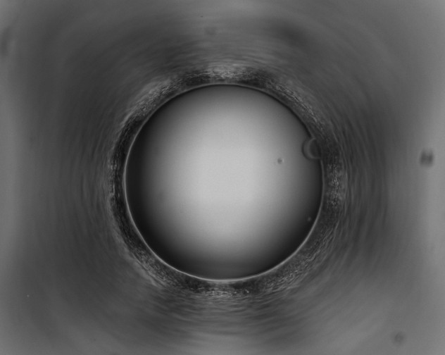 X0000100870738200806201240