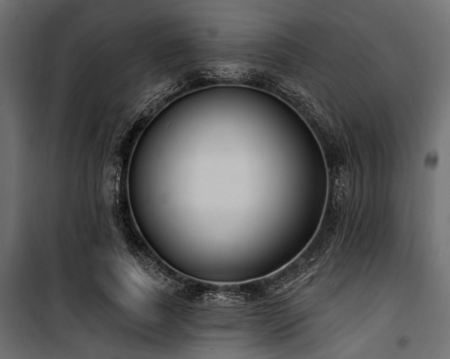 X0000100870739200806201240