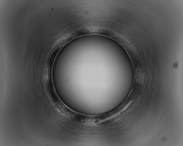 X0000100870740200806201240
