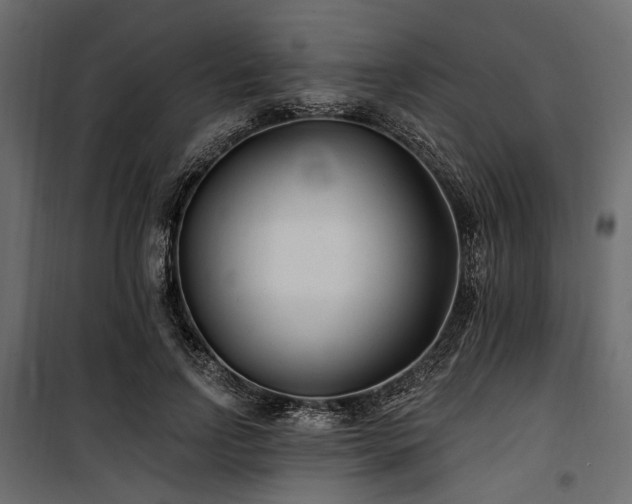 X0000100870742200806201240