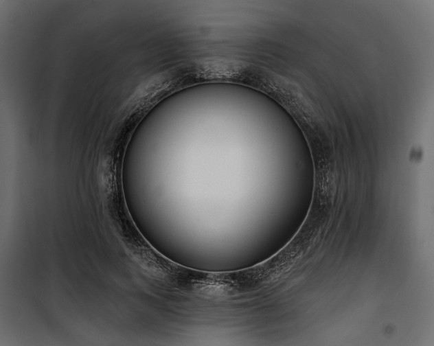 X0000100870743200806201240