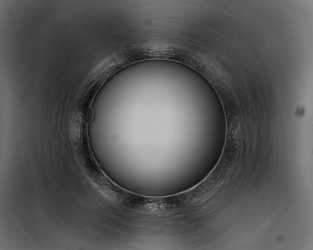 X0000100870744200806201240