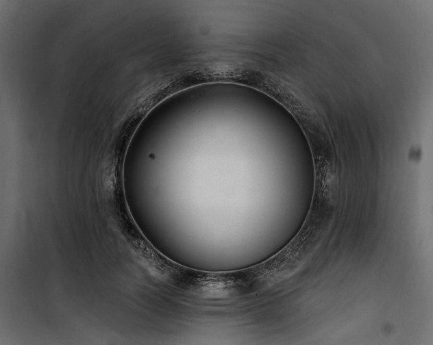 X0000100870746200806201240