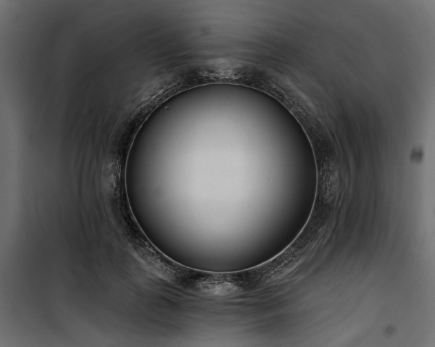 X0000100870747200806201240