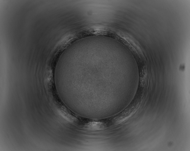 X0000100870748200806201240