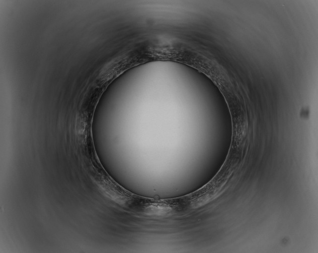 X0000100870749200806201240