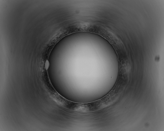 X0000100870750200806201240