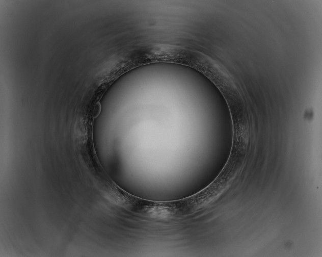 X0000100870751200806201240