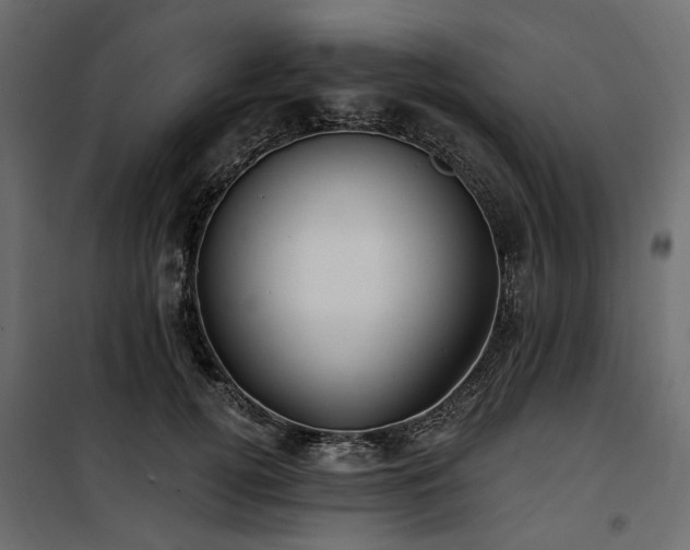 X0000100870752200806201240