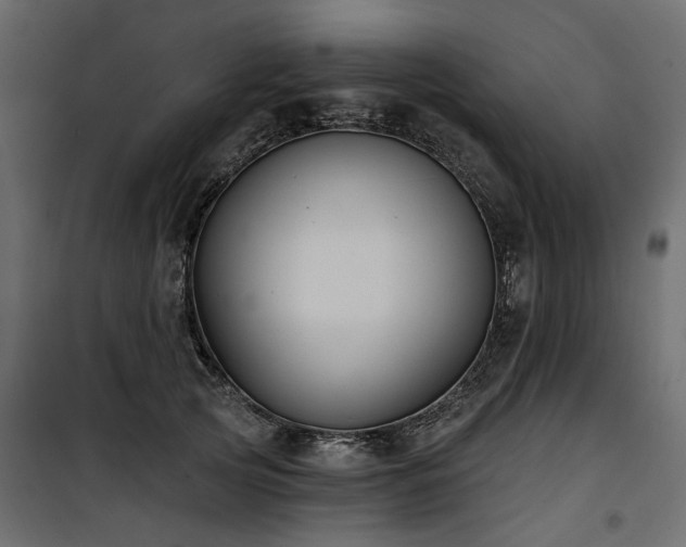 X0000100870753200806201240