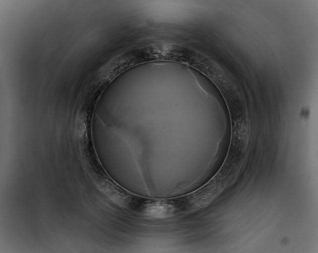 X0000100870754200806201240