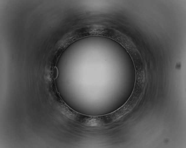 X0000100870755200806201240