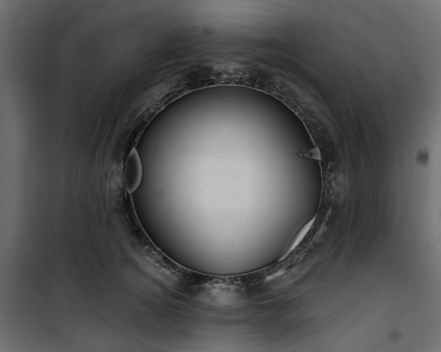 X0000100870756200806201240