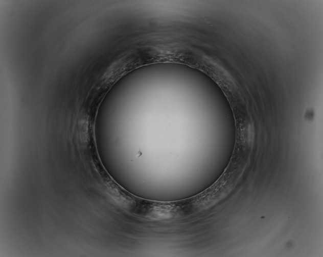 X0000100870757200806201240