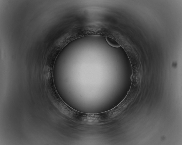 X0000100870758200806201240