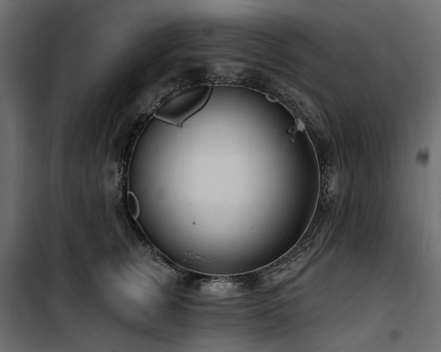 X0000100870759200806201240