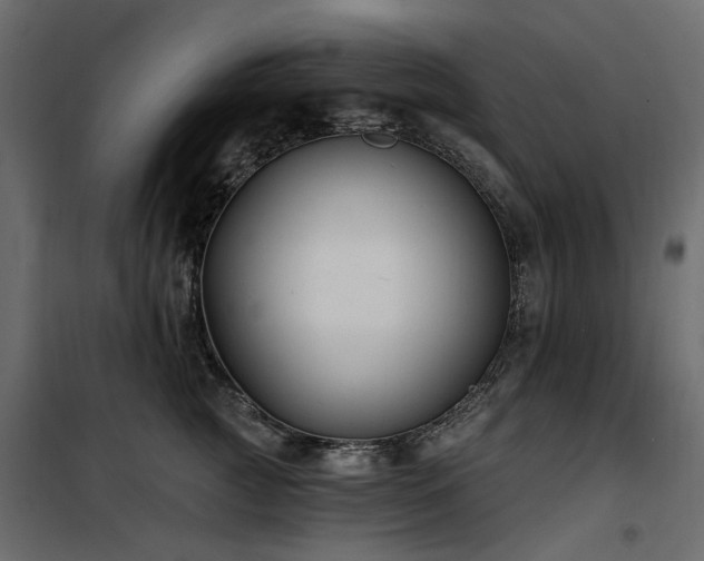X0000100870761200806201240