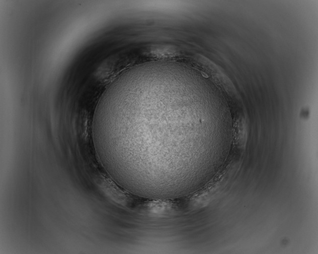 X0000100870762200806201240