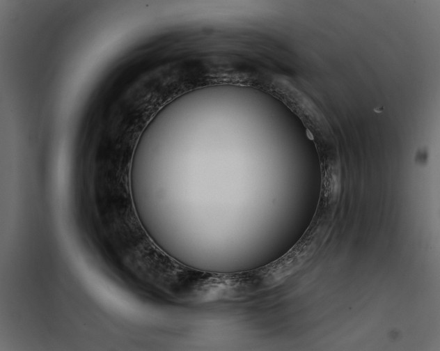 X0000100870764200806201240