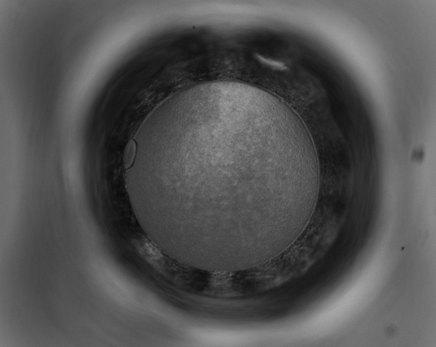 X0000100870766200806201240