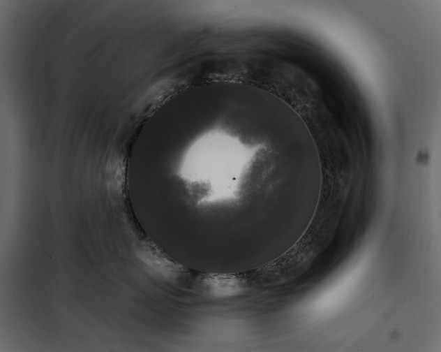 X0000100870767200806201240