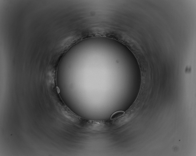 X0000100870768200806201240