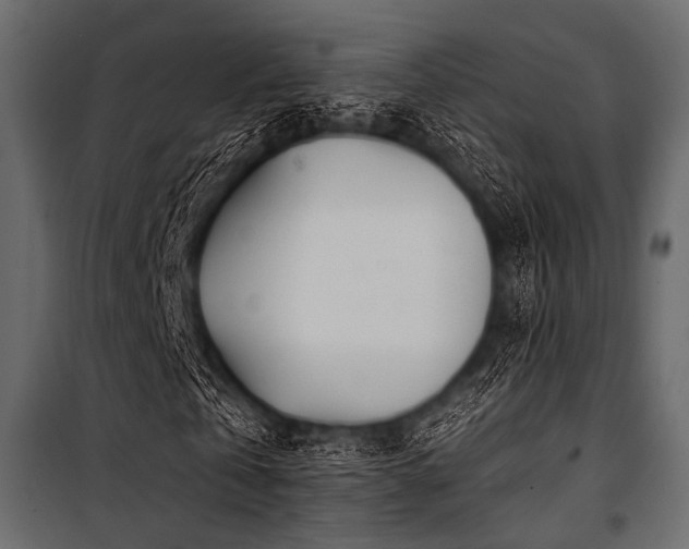 X0000100870769200806201240