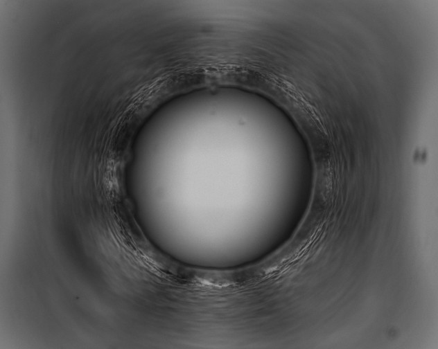 X0000100870770200806201240