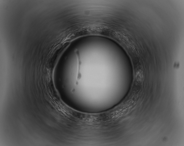 X0000100870772200806201240