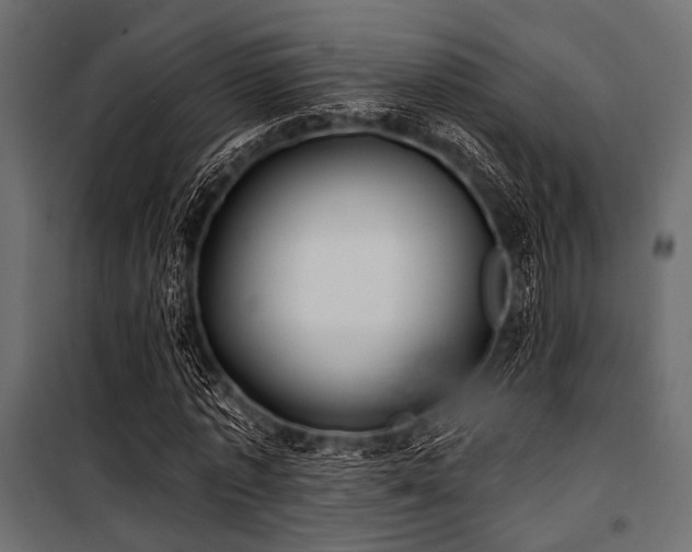 X0000100870773200806201240