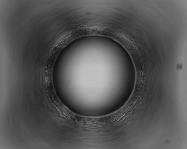 X0000100870774200806201240
