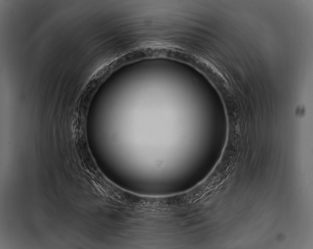 X0000100870775200806201240