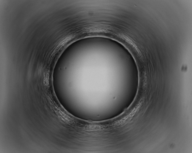 X0000100870777200806201239