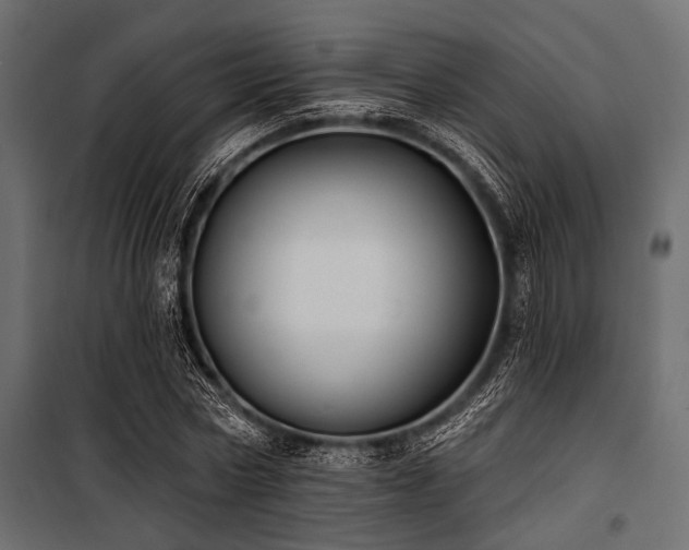 X0000100870778200806201239