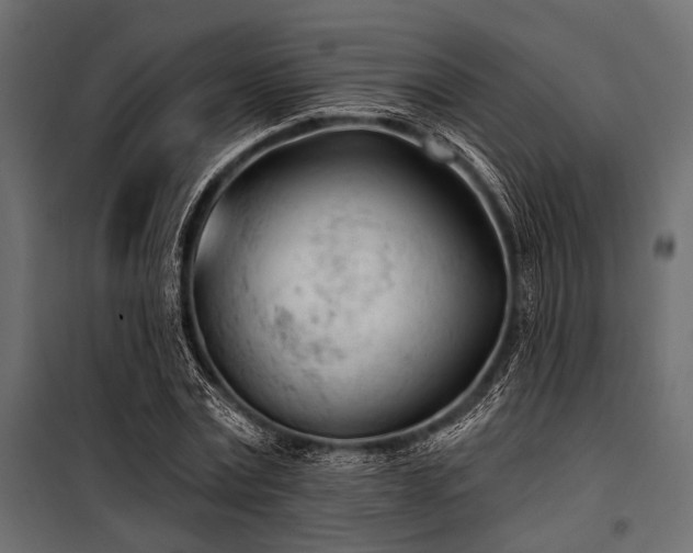 X0000100870779200806201239