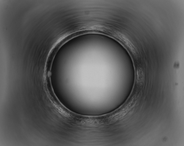X0000100870780200806201239