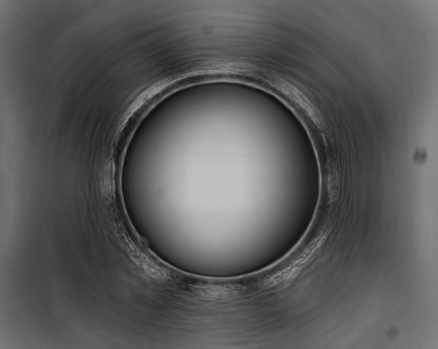 X0000100870781200806201239