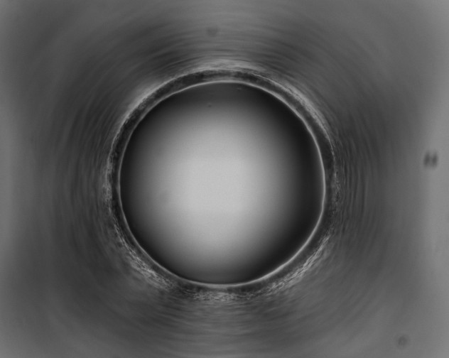 X0000100870783200806201239